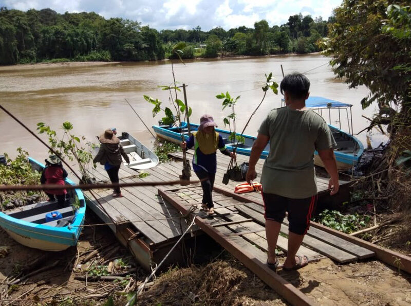 Tree planting expedition in Borneo