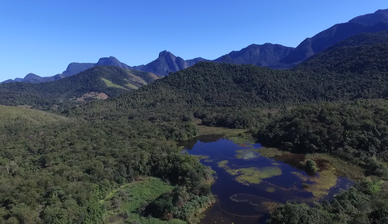 Restored and reforested area of REGUA. Credit: REGUA