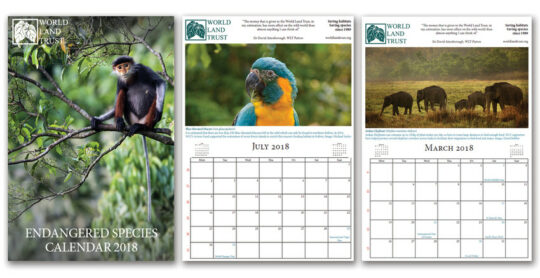 RS28689_calendar-twitter-scr WLT Endangered Species Calendar 2018