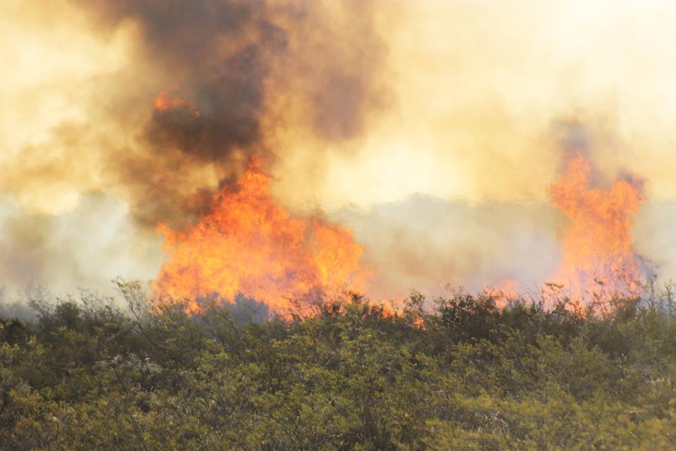 Wildfire in Patagonia © José Maria Musmeci