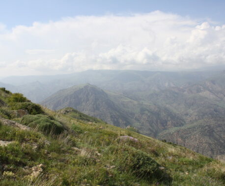 Caucasus Wildilfe Refuge ©Mary McEvoy/WLT