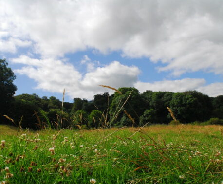 Kites Hill Reserve. Credit: Claire Whittenbury