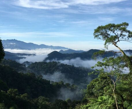 View over Khe Nuoc Trong ©Viet Nature/Pham Tuan Anh