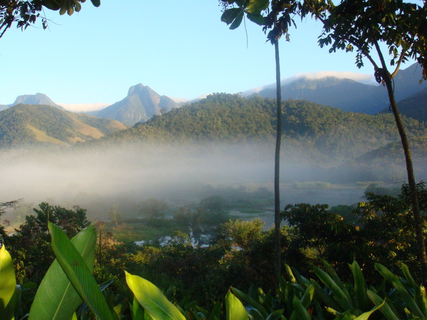Atlantic Forest, REGUA, Brazil©Jessica Stewart