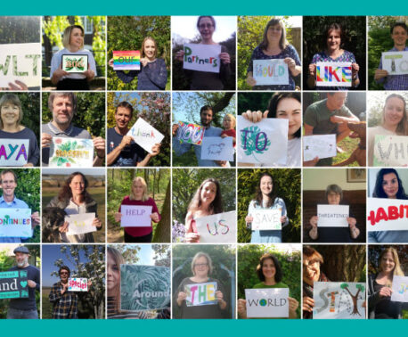 Thank You! - from the WLT Staff.