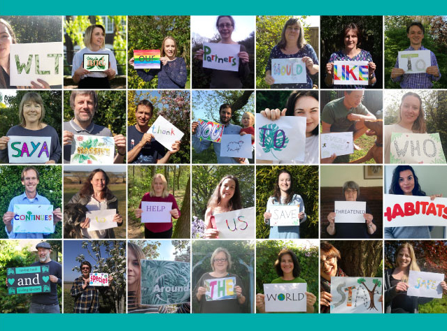 Thank You! - from the WLT Staff.