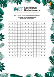 Brainteaser 1 – Click on the image to download the quiz.