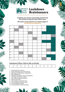 Brainteaser 2 – Click on the image to download the quiz.