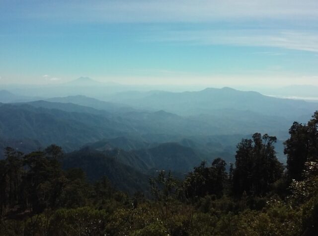 View at Volcan Pacayita Reserve. Credit:AESMO