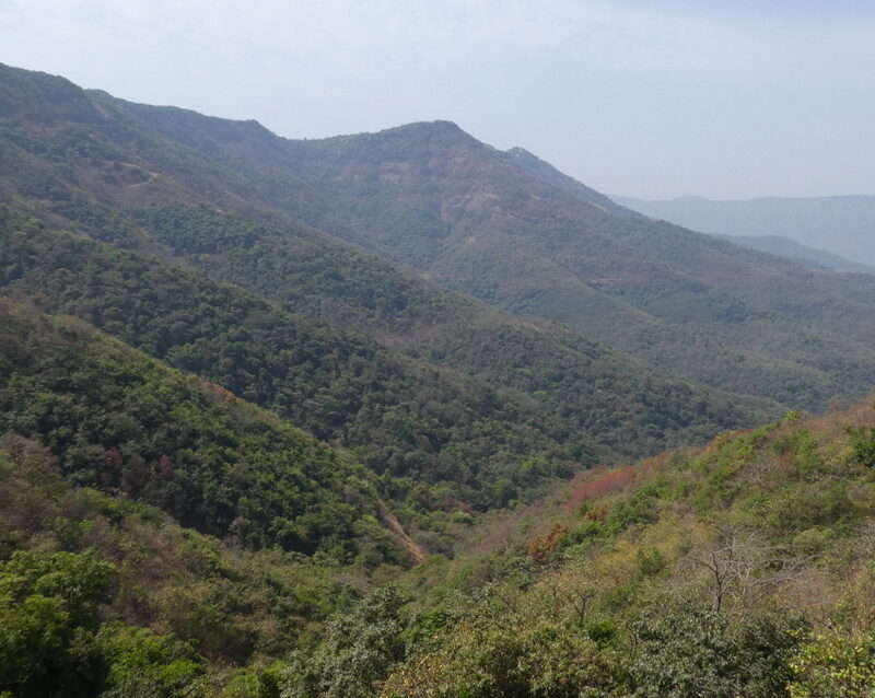 Western Ghats, India. Image credit: WLT/Richard Cuthbert.