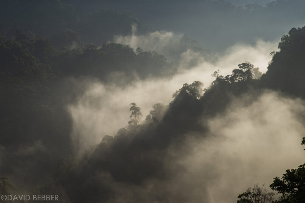 Khe Nouc Trong - copyright David Bebber