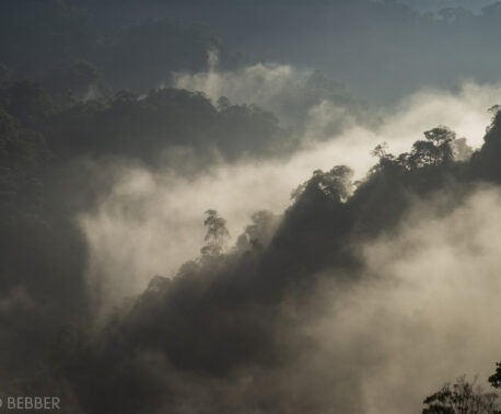 Khe Nouc Trong - copyright David Bebber