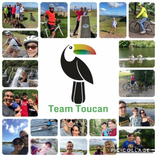 TeamToucan copy