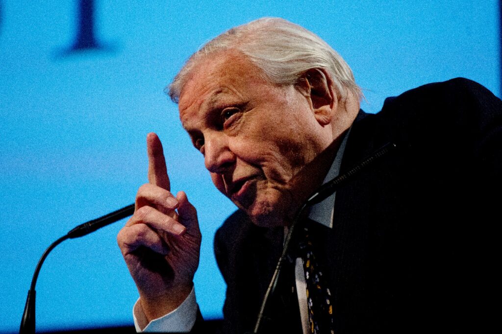 Sir David Attenborough © David Bebber