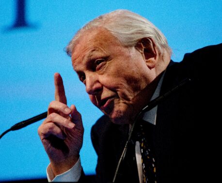 Sir David Attenborough © David Bebber