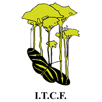 itcf-logo-sq ITCF Logo