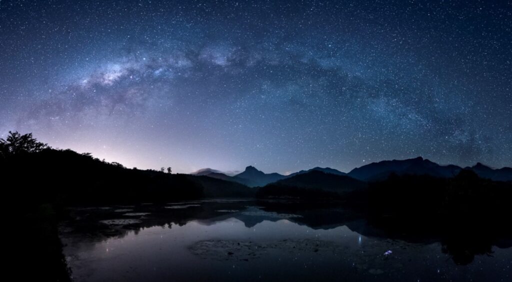 Brazil's Atlantic Forest at night