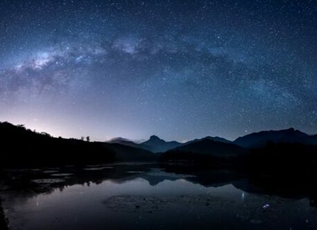 Brazil's Atlantic Forest at night