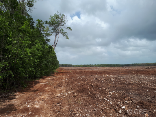 RS31353_Southern-border-of-Balam-portion-of-corridor,-adjacent-to-Neuland