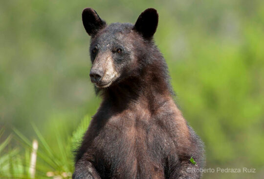 Sign Up to the WLT eBulletin