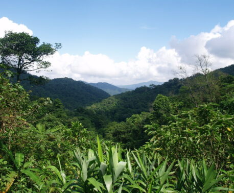 A view of Khe Nuoc Trong, Vietnam