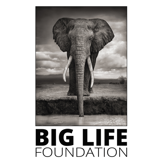 Big Life Foundation