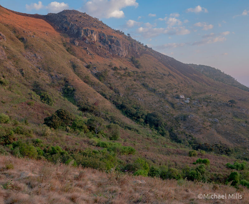 A view of the Mount Moco landscape