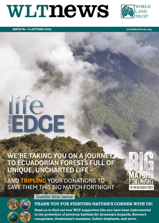 WLT News Autumn 2022