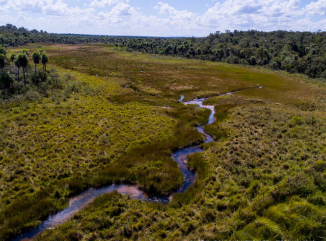 An aerial view of a water-course and riparian habitat in Ñembi Guasu