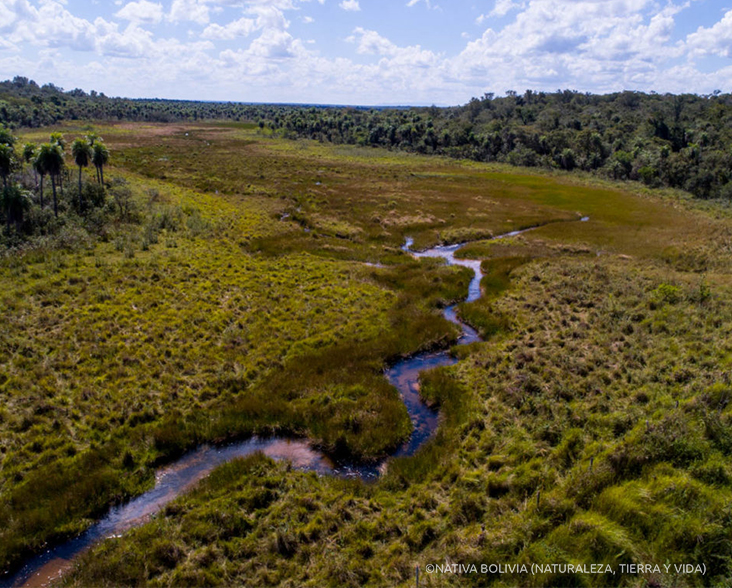An aerial view of a water-course and riparian habitat in Ñembi Guasu